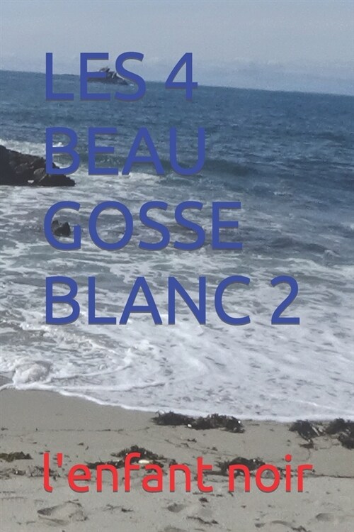 Les 4 Beau Gosse Blanc 2 (Paperback)