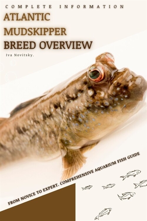 Atlantic mudskipper: From Novice to Expert. Comprehensive Aquarium Fish Guide (Paperback)