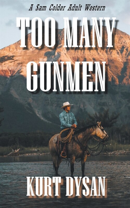 Too Many Gunmen (Paperback)