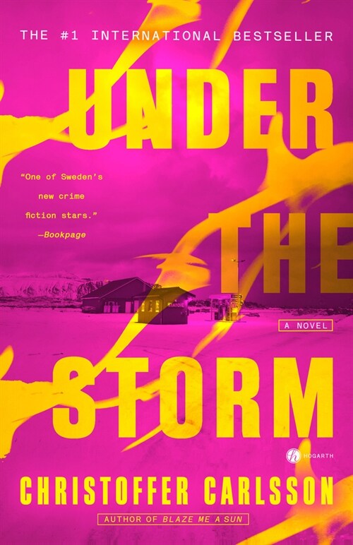 Under the Storm (Paperback)