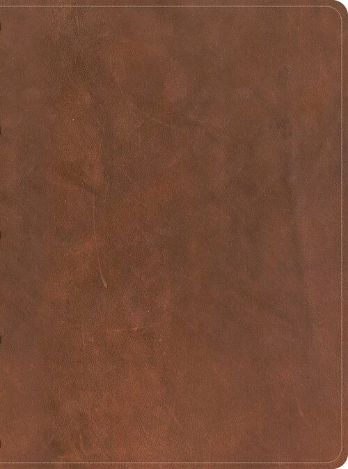 CSB Mens Daily Bible, Brown Genuine Leather (Leather)