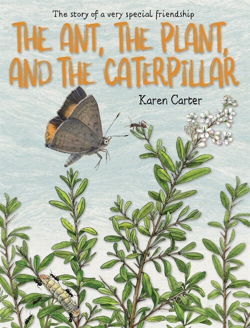 The Ant, the Plant, and the Caterpillar (Hardcover)
