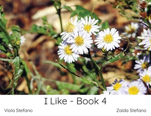 I Like - Book 4 (Paperback)