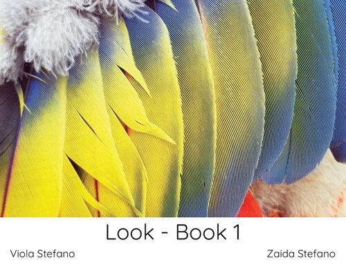 Look - Book 1 (Paperback)