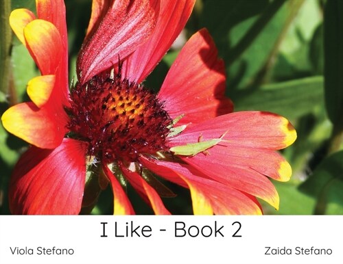 I Like - Book 2 (Paperback)