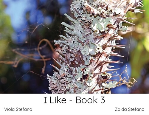 I Like - Book 3 (Paperback)