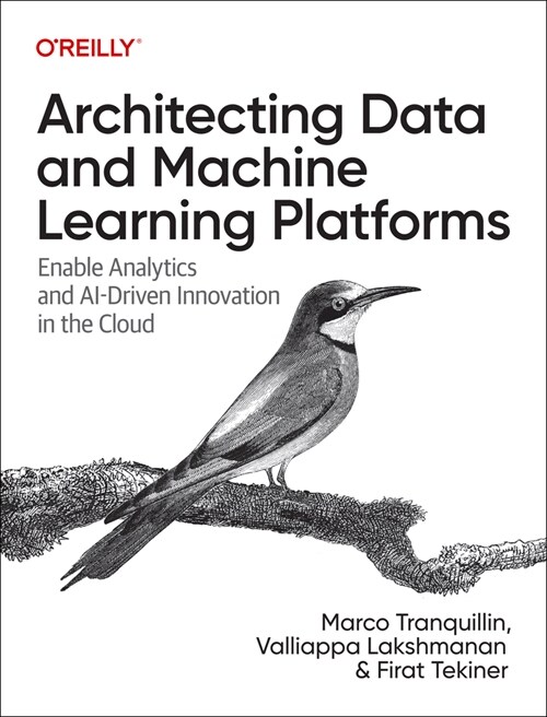 Architecting Data and Machine Learning Platforms: Enable Analytics and Ai-Driven Innovation in the Cloud (Paperback)