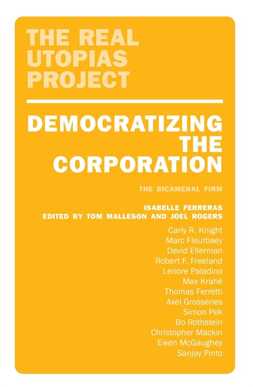 Democratizing the Corporation : The Bicameral Firm and Beyond (Paperback)