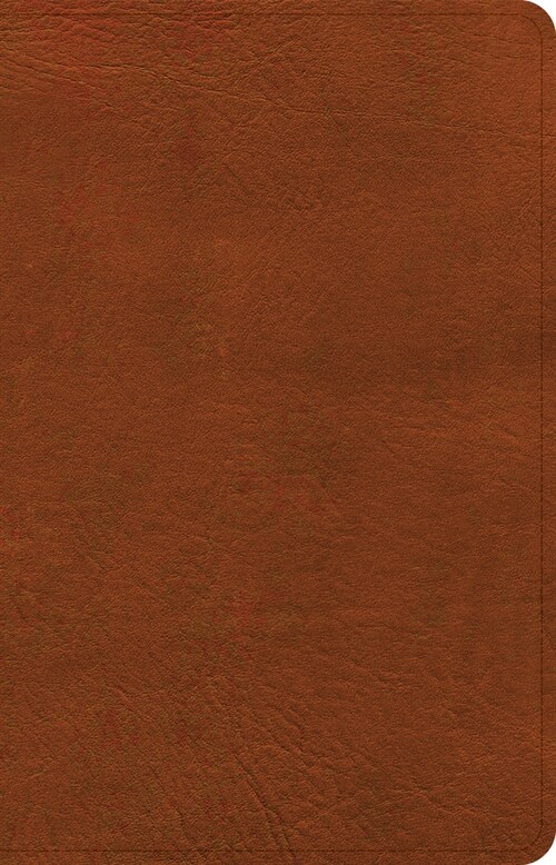 NASB Personal Size Bible, Burnt Sienna Leathertouch (Imitation Leather)