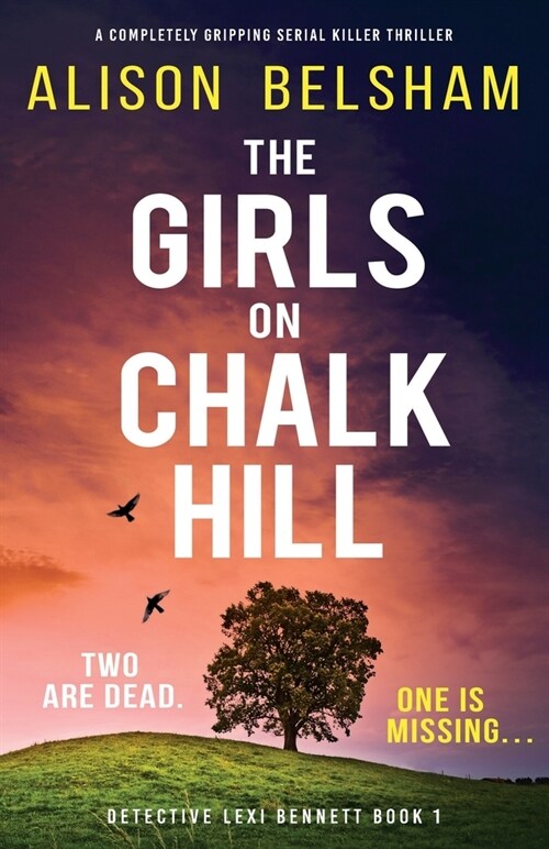 The Girls on Chalk Hill: A completely gripping serial killer thriller (Paperback)