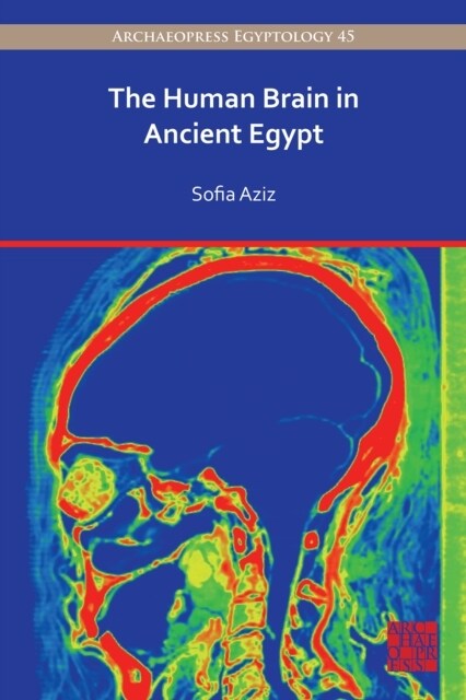 The Human Brain in Ancient Egypt : A Medical and Historical Re-evaluation of Its Function and Importance (Paperback)