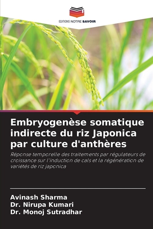 Embryogen?e somatique indirecte du riz Japonica par culture danth?es (Paperback)