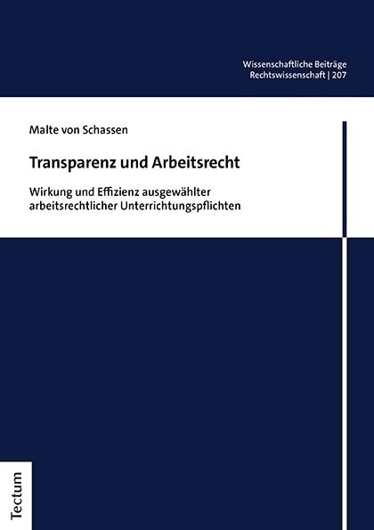 Transparenz Und Arbeitsrecht: Wirkung Und Effizienz Ausgewahlter Arbeitsrechtlicher Unterrichtungspflichten (Paperback)