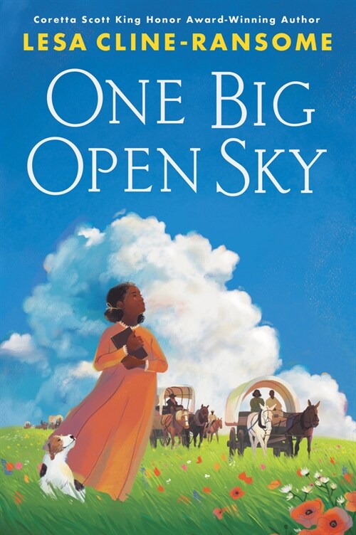 One Big Open Sky (Hardcover)