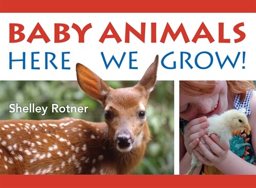 Baby Animals!: Here We Grow (Board Books)