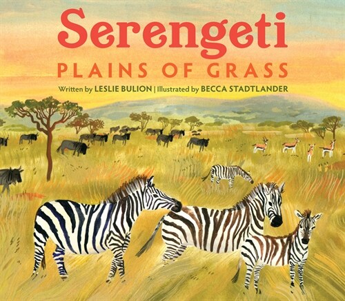 Serengeti: Plains of Grass (Paperback)