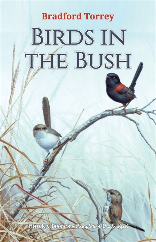Birds in the Bush (Paperback)