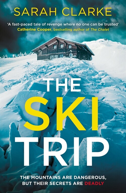 The Ski Trip (Paperback)