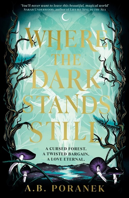 Where the Dark Stands Still (Hardcover)