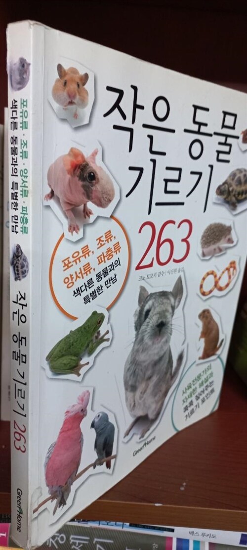 [중고] 작은 동물 기르기 263