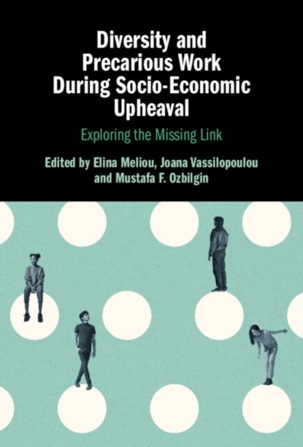 Diversity and Precarious Work During Socio-Economic Upheaval : Exploring the Missing Link (Hardcover)