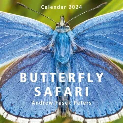 Butterfly Safari Calendar 2024 (Calendar)