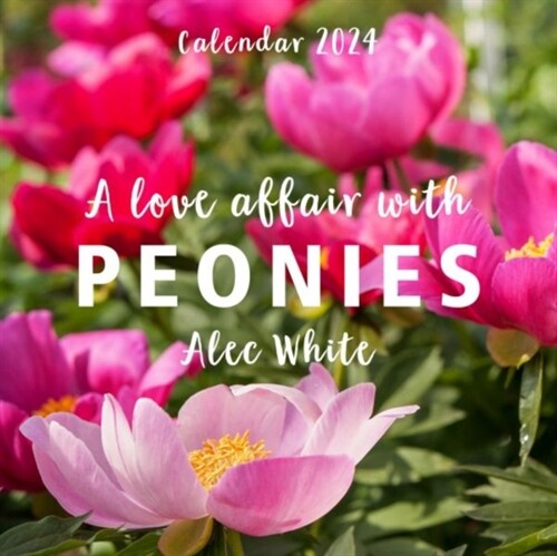 Love Affair with Peonies Calendar 2024, A (Calendar)