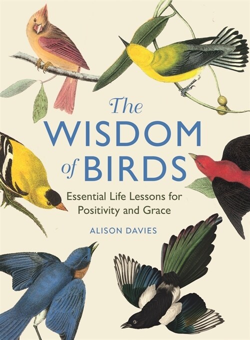The Wisdom of Birds : Essential Life Lessons for Positivity and Grace (Hardcover)