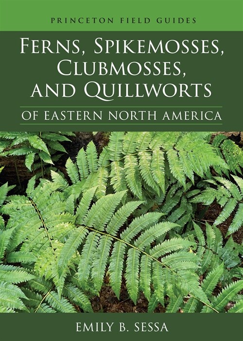 Ferns, Spikemosses, Clubmosses, and Quillworts of Eastern North America (Paperback)