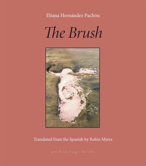 The Brush: Poems (Paperback)