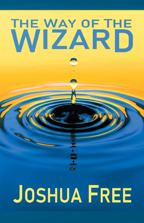 The Way of the Wizard: Utilitarian Systemology (A New Metahuman Ethic) (Paperback, Premiere)