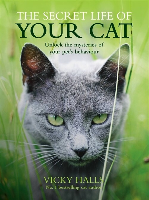 The Secret Life of Your Cat (Paperback)