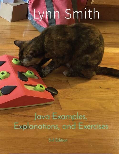 Java Examples, Explanations, and Exercises Third Edition (Paperback, 3)