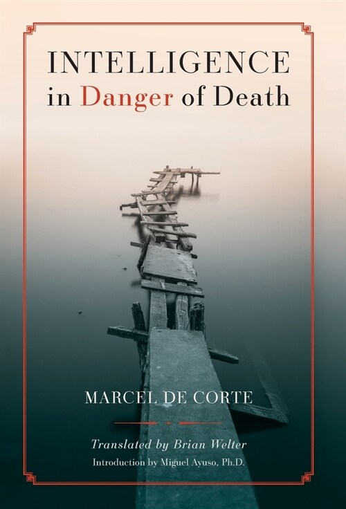 Intelligence in Danger of Death (English edition) (Hardcover)