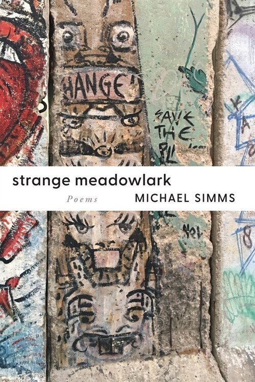 Strange Meadowlark (Paperback)