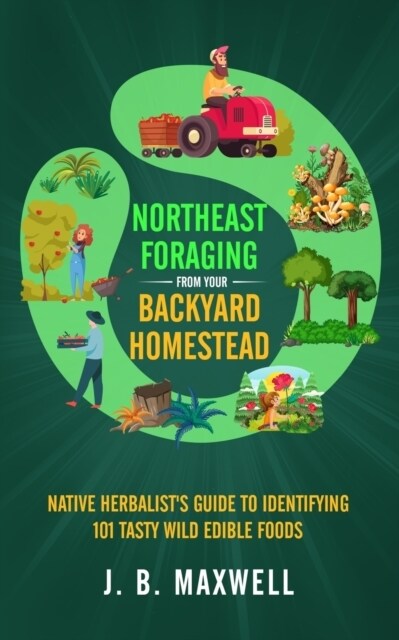 Northeast Foraging from Your Backyard Homestead: Native Herbalists Guide to Identifying 101 Tasty Wild Edible Foods (Paperback)