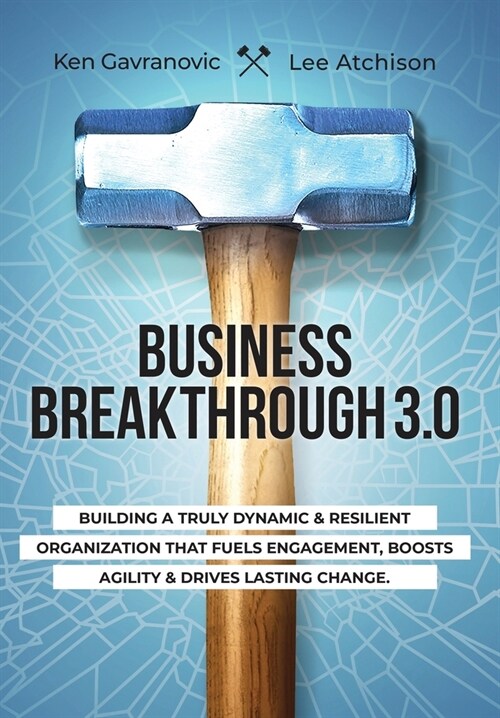 Business Breakthrough 3.0 (Hardcover)