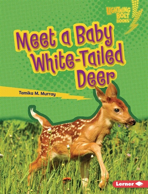 Meet a Baby White-Tailed Deer (Library Binding)