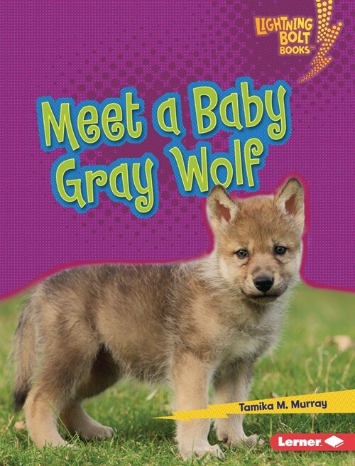 Meet a Baby Gray Wolf (Library Binding)