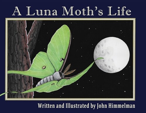 A Luna Moths Life (Paperback)