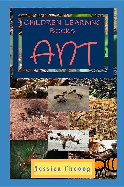 Children Learning Books - Ant (Paperback)