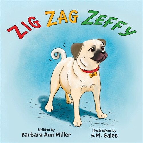 Zig Zag Zeffy (Paperback)