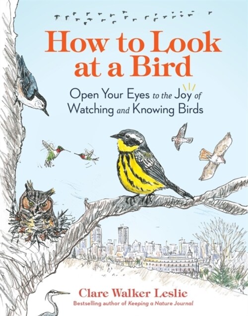 How to Look at a Bird: Open Your Eyes to the Joy of Watching and Knowing Birds (Paperback)