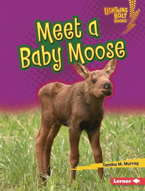 Meet a Baby Moose (Library Binding)