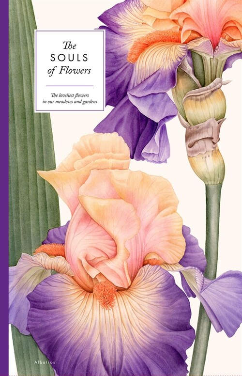 The Souls of Flowers (Hardcover)