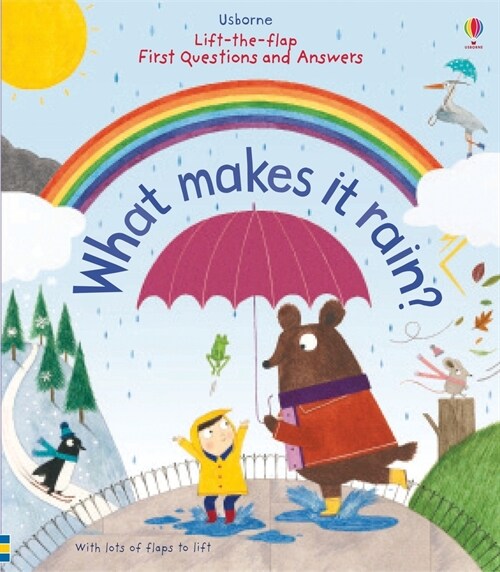 First Questions and Answers: What Makes It Rain? (Board Books)