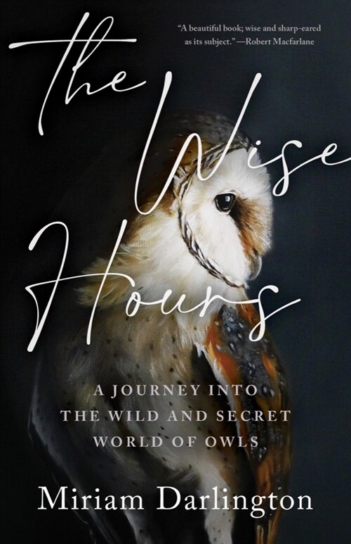 Wise Hours: A Journey Into the Wild and Secret World of Owls (Paperback)