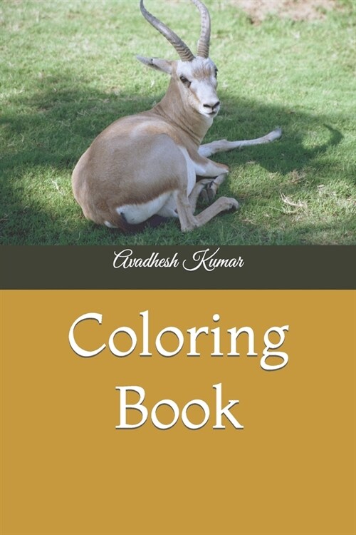 Coloring Book (Paperback)