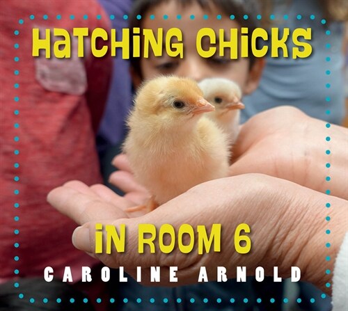 Hatching Chicks in Room 6 (Paperback)