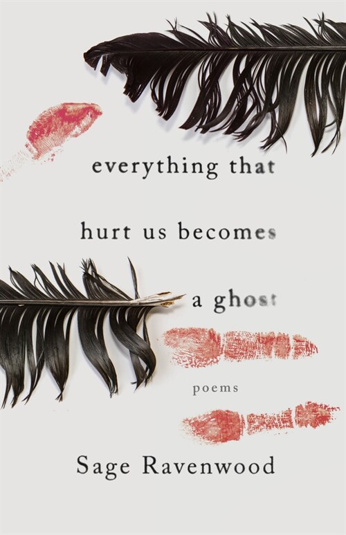 Everything That Hurt Us Becomes a Ghost: Poems (Paperback)